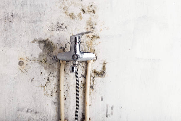 Reliable Oatfield, OR Mold Removal Solutions