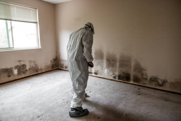 Best Crawl Space Mold Removal  in Oatfield, OR