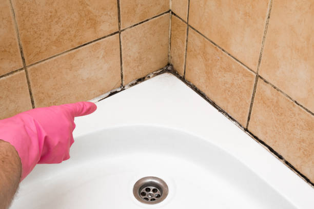 Best Office Mold Removal Services  in Oatfield, OR